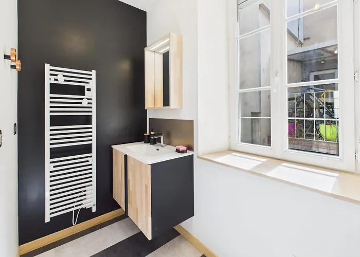 Chic T2 Renove Au Coeur De A 2 Min De Jaude ! Lejlighed Clermont-Ferrand